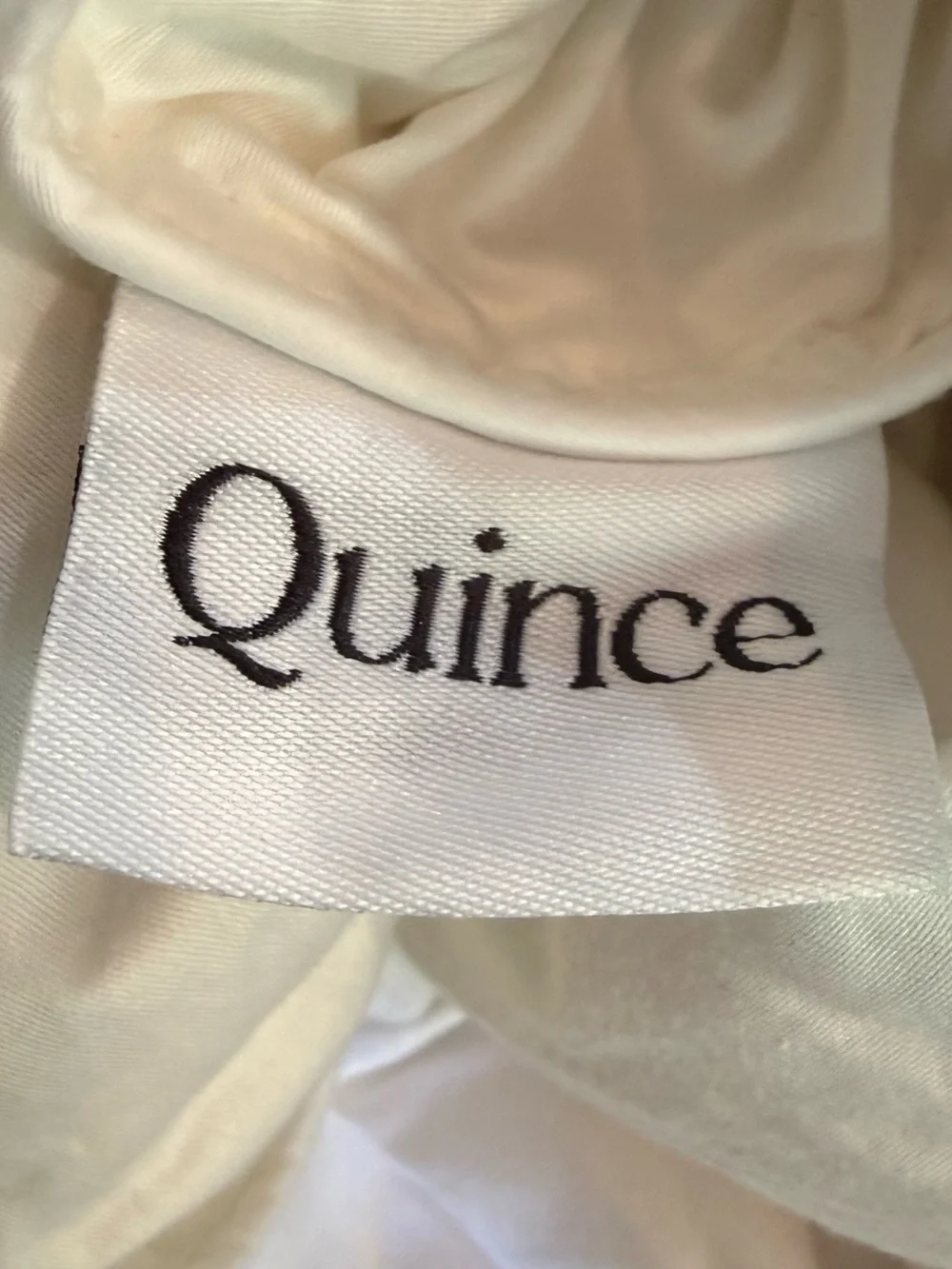 Quince All Season Luxe Goose Down Duvet Insert Comforter King California King